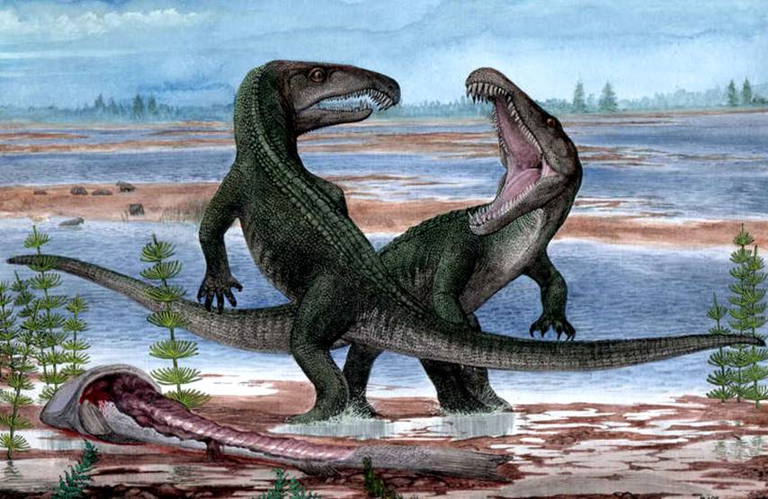 - чё ты раскрываешь пасть это моя рыбина я её поймал                                                                                                         -нет моя                                                                                                                                                                 -МОЯ!!!!!!!!!!!!!!!!!!!!!