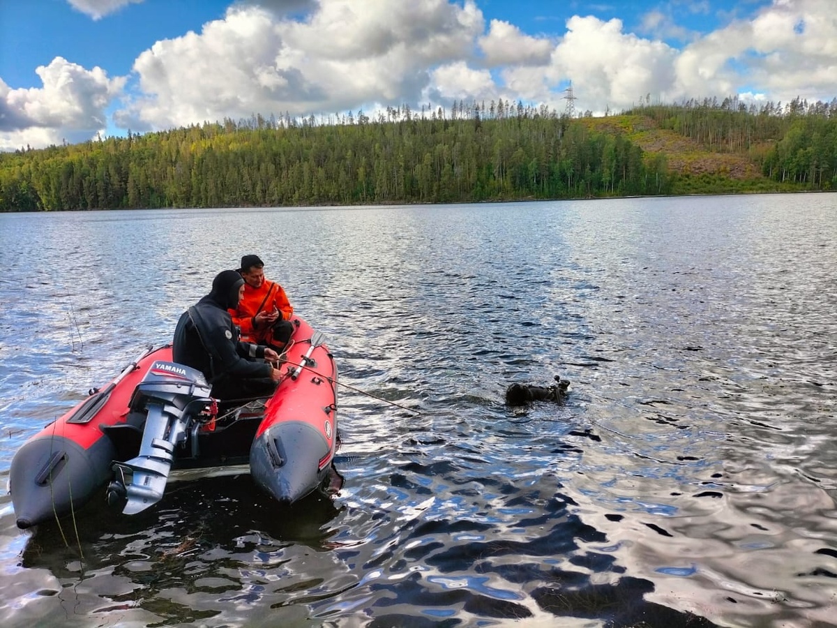    Фото: ГКУ Карельская поисково-спасательная служба