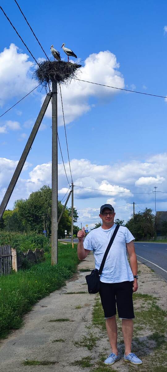 Беларусь форева! Фламинго в гнезде😀