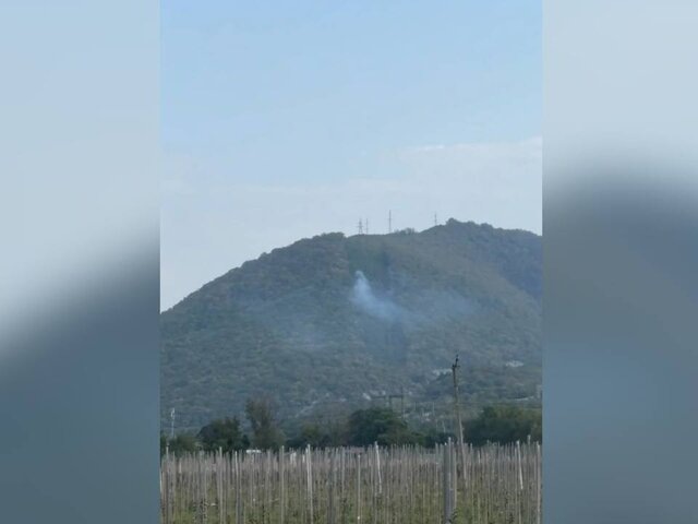    Фото: телеграм-канал "Алексей Богодистов | Глава муниципального образования город-курорт Геленджик"