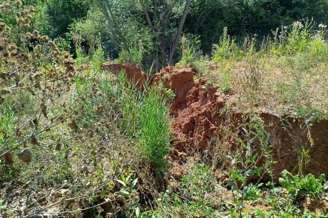    Стоки размывают склон. Фото: АиФ/ Ирина Вервильская