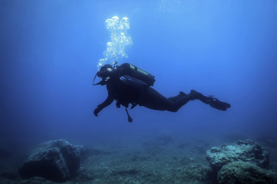    Shutterstock/FOTODOM