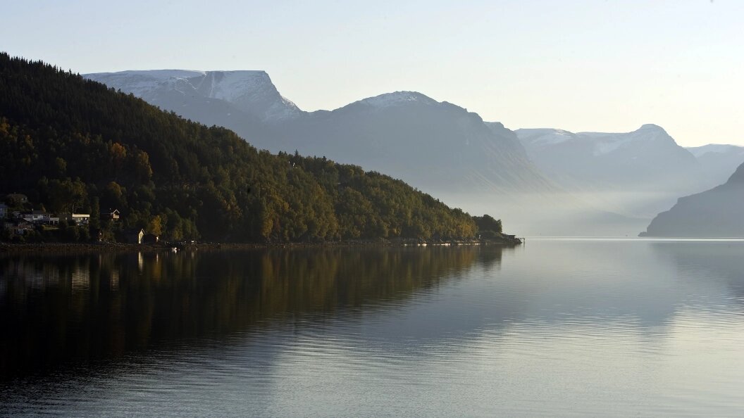    Roman Denisov, Роман Денисов/Globallookpress
