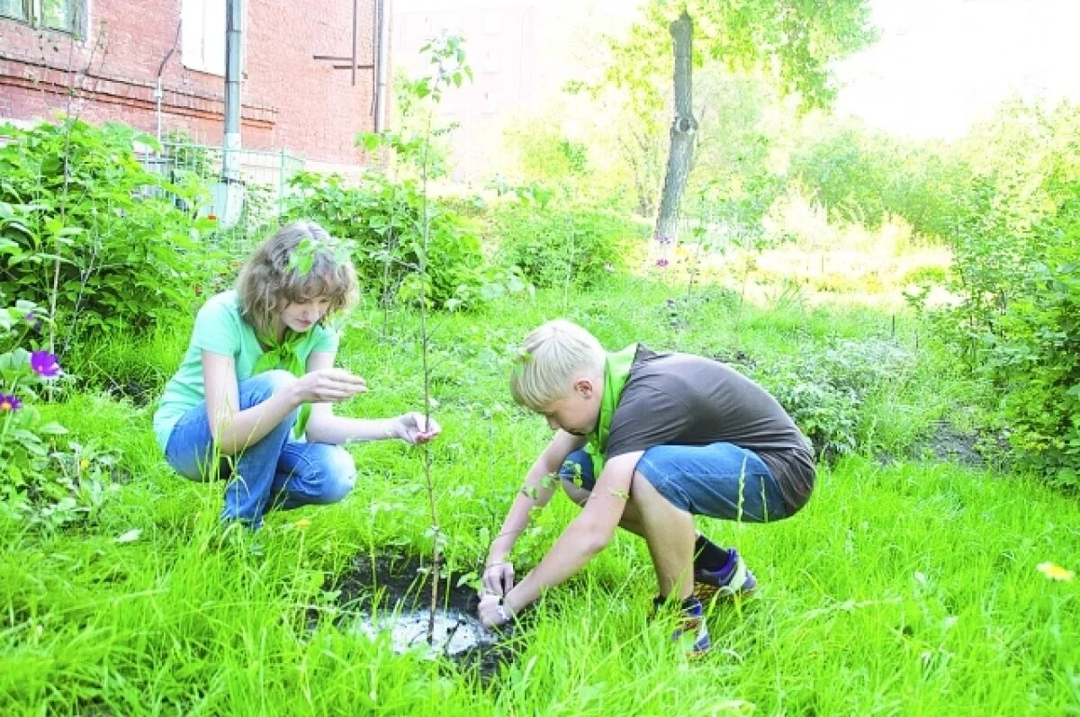    В Тамбове выявили нарушения трудовых прав подростков в 23 школах