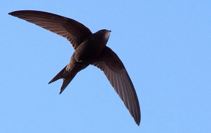 Красота в небе.