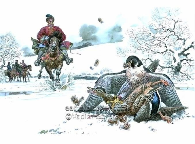Соколиная охота