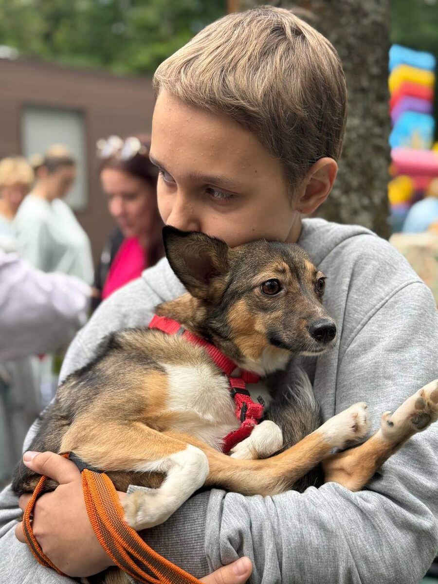    Фото: "Мартинцы_Видное"