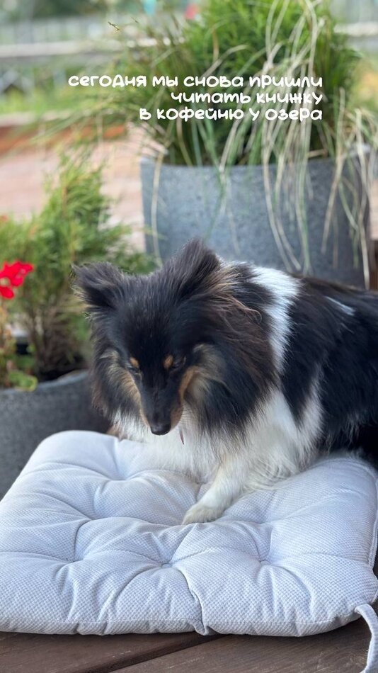 Листайте вправо, чтобы увидеть больше изображений