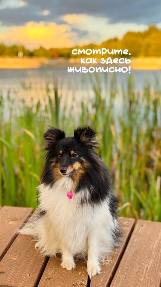 Листайте вправо, чтобы увидеть больше изображений