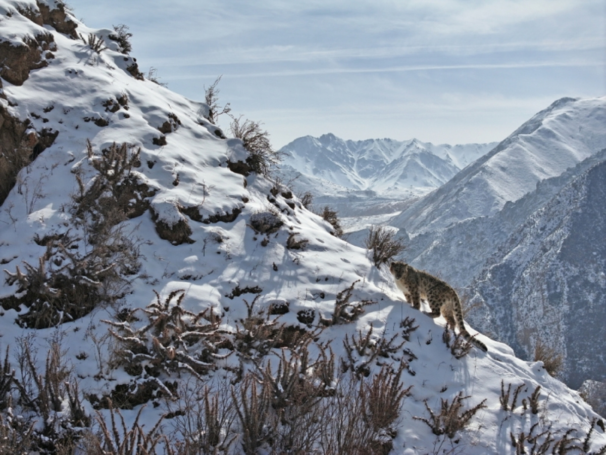 Fan Peishen / XinHua / Global Look Press