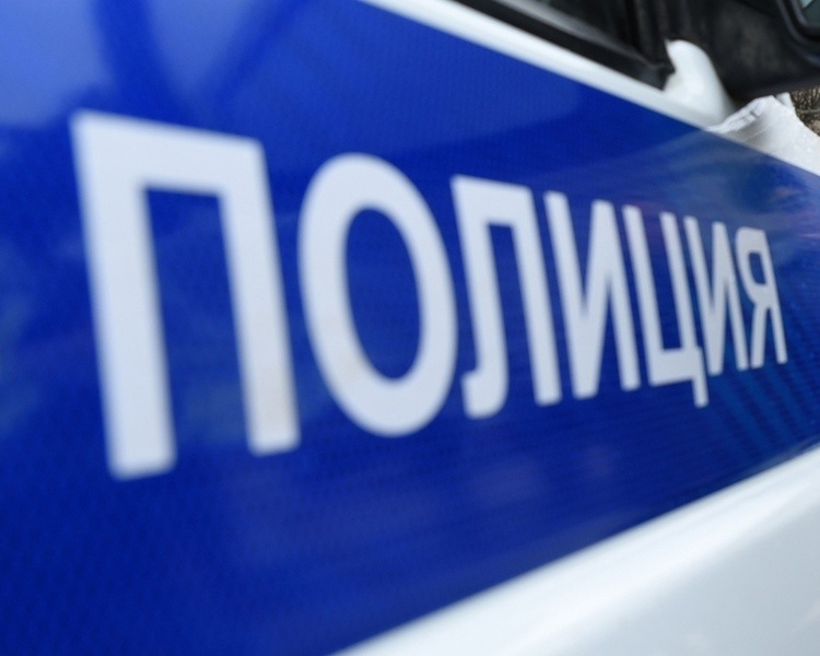     В Курске задержали курьера, забравшего 4 миллиона рублей у пенсионерки