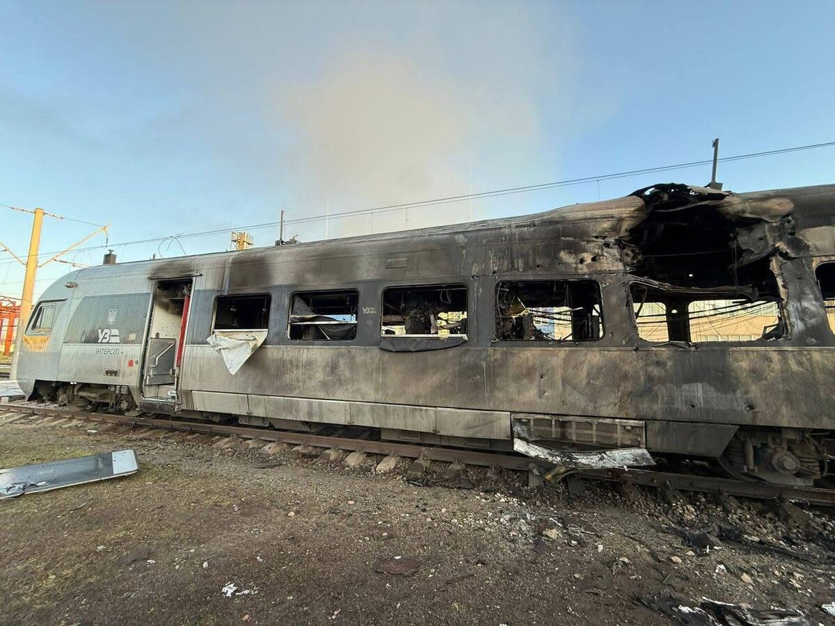    Фото: t.me/geranium_chronicles