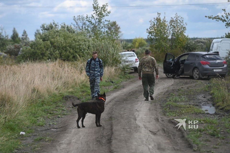    В настоящее время поиски Тимофея продолжаются Ольга ЮШКОВА