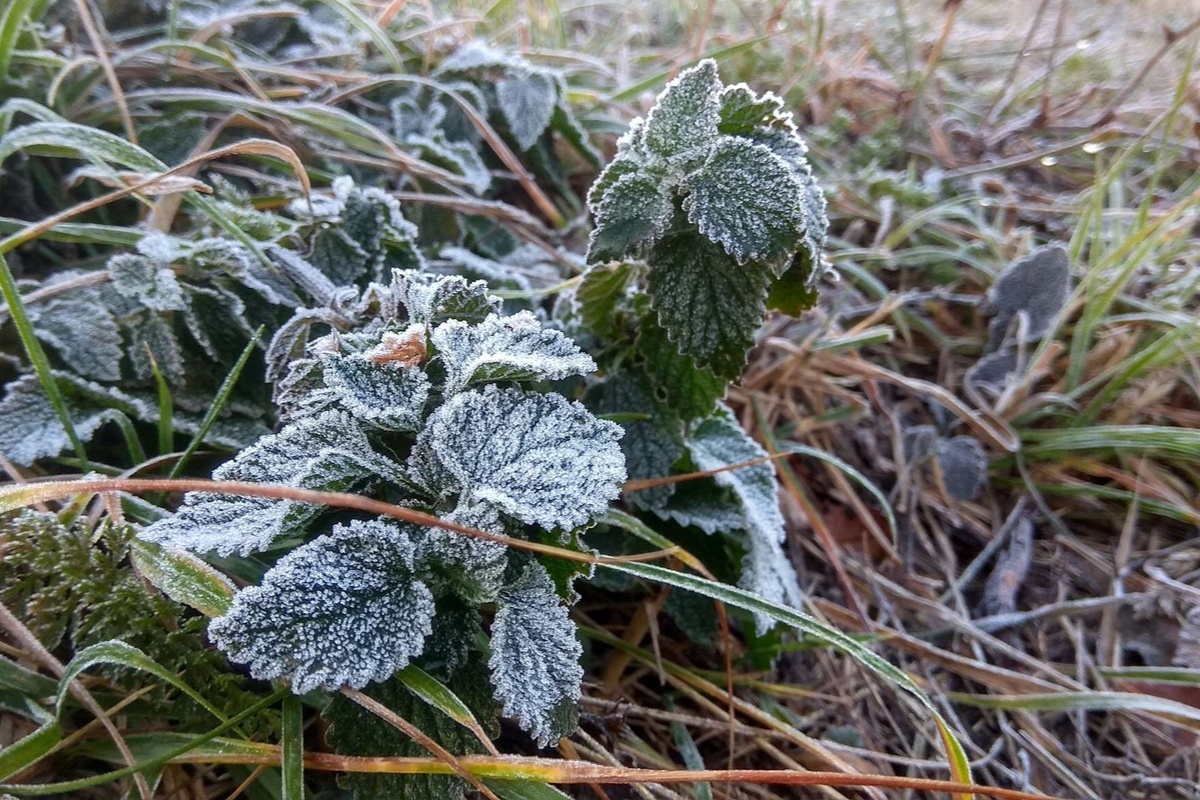    Фото: Дмитрий Макеев, источник: ria.ru