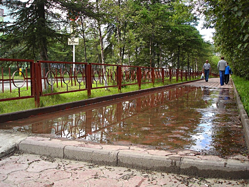 Фото их интернета.