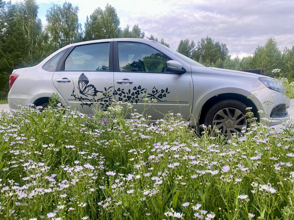 Бабочки в цветочках - всё по-женски ))