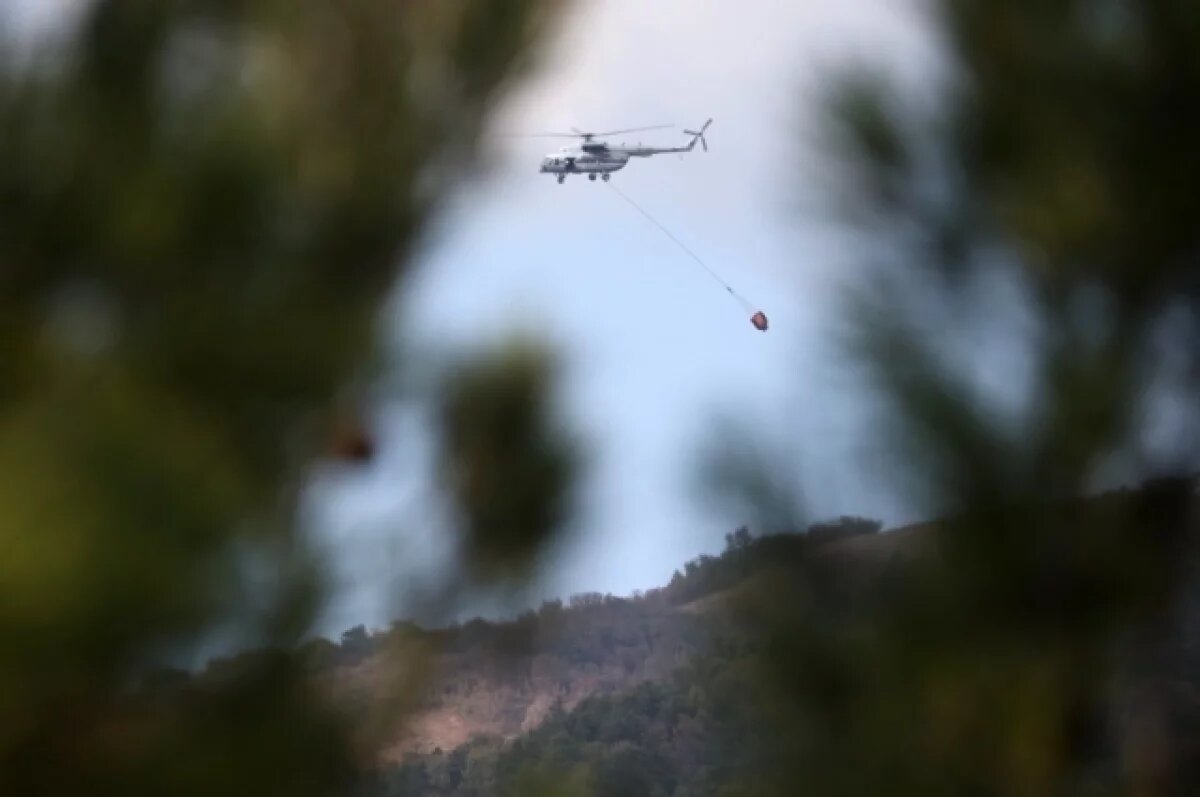    Под Геленджиком 23 туриста оказались заблокированы лесным пожаром