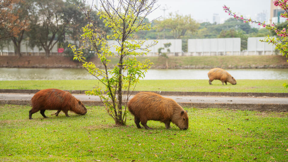 Фото: © www.globallookpress/Xu Yongzheng/XinHua