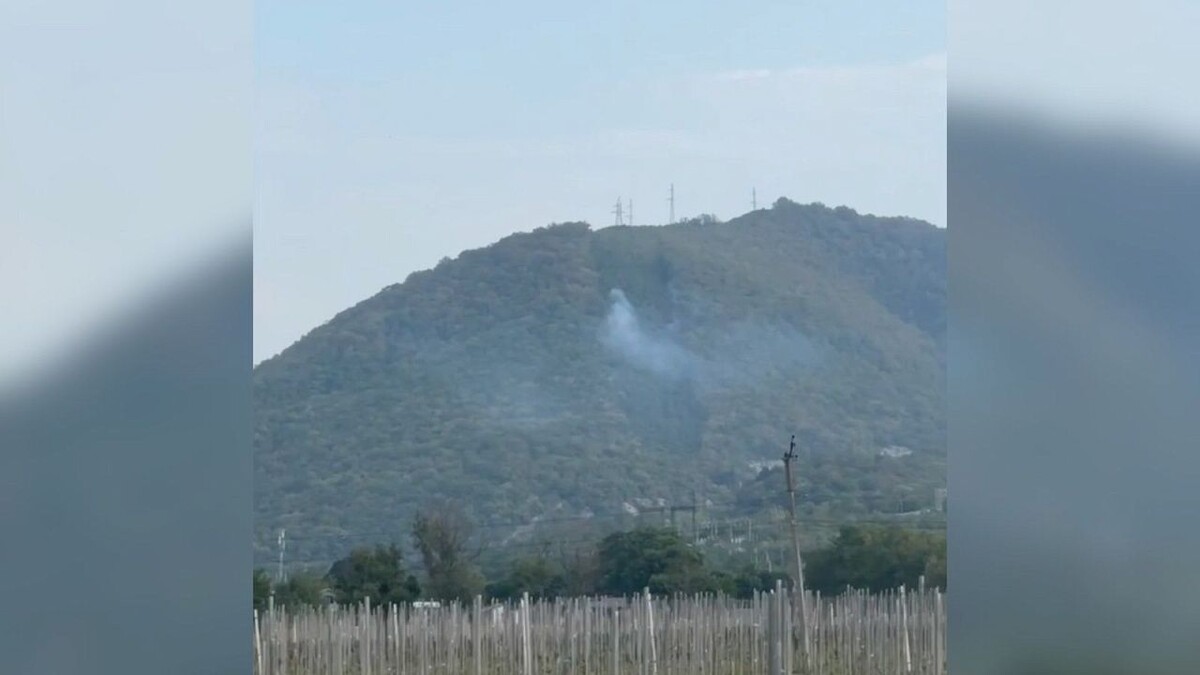    Фото: t.me/BogodistovAA