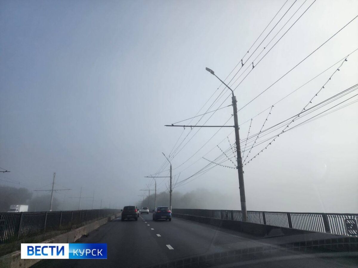    В Курской области снова туман