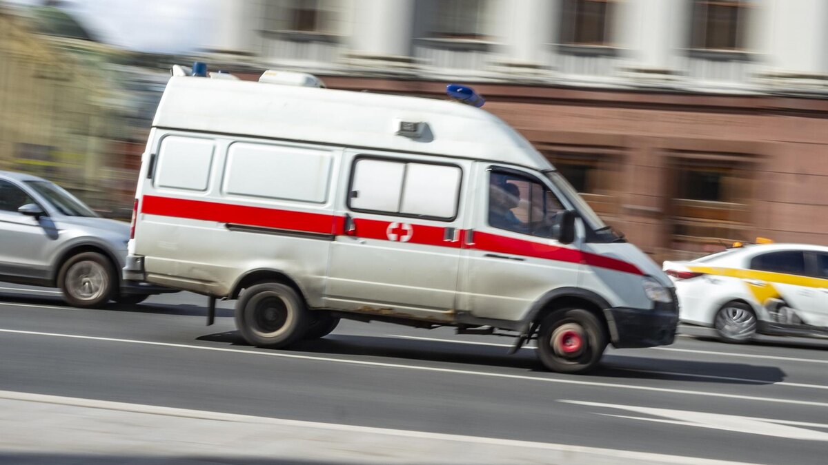    Фото: ИЗВЕСТИЯ/Константин Кокошкин