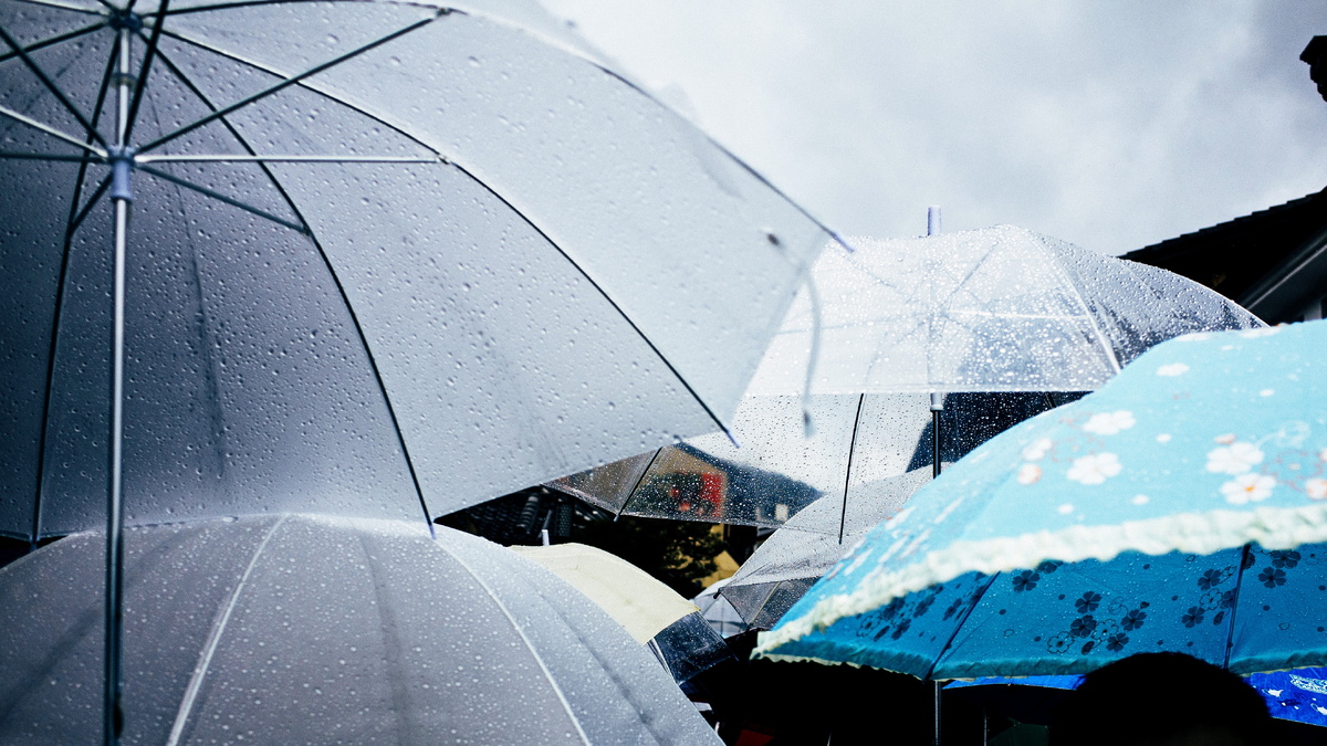    Югру заливают дожди