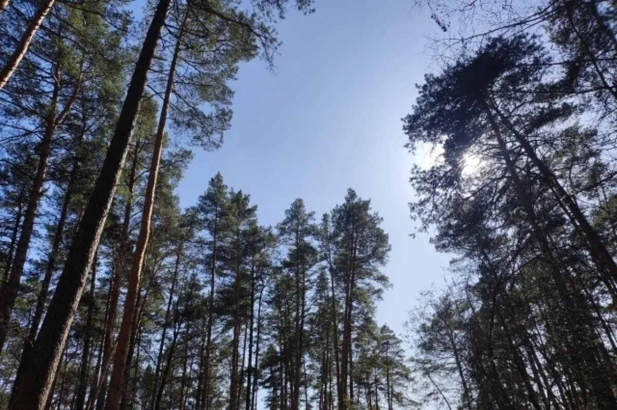    Томич выплатит миллион рублей за разрушение среды обитания животных