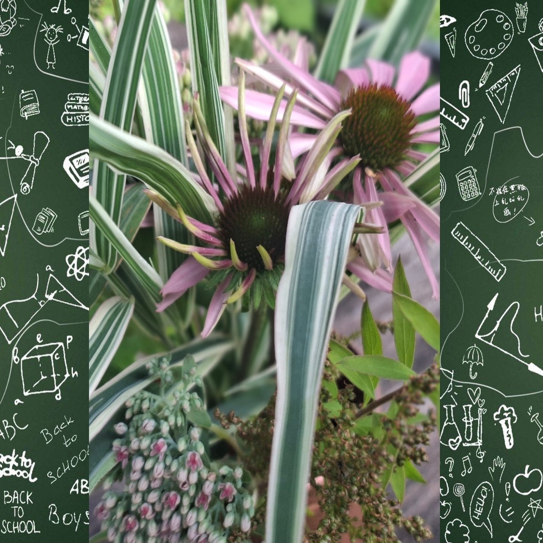 Букет - поздраления из моего сада!