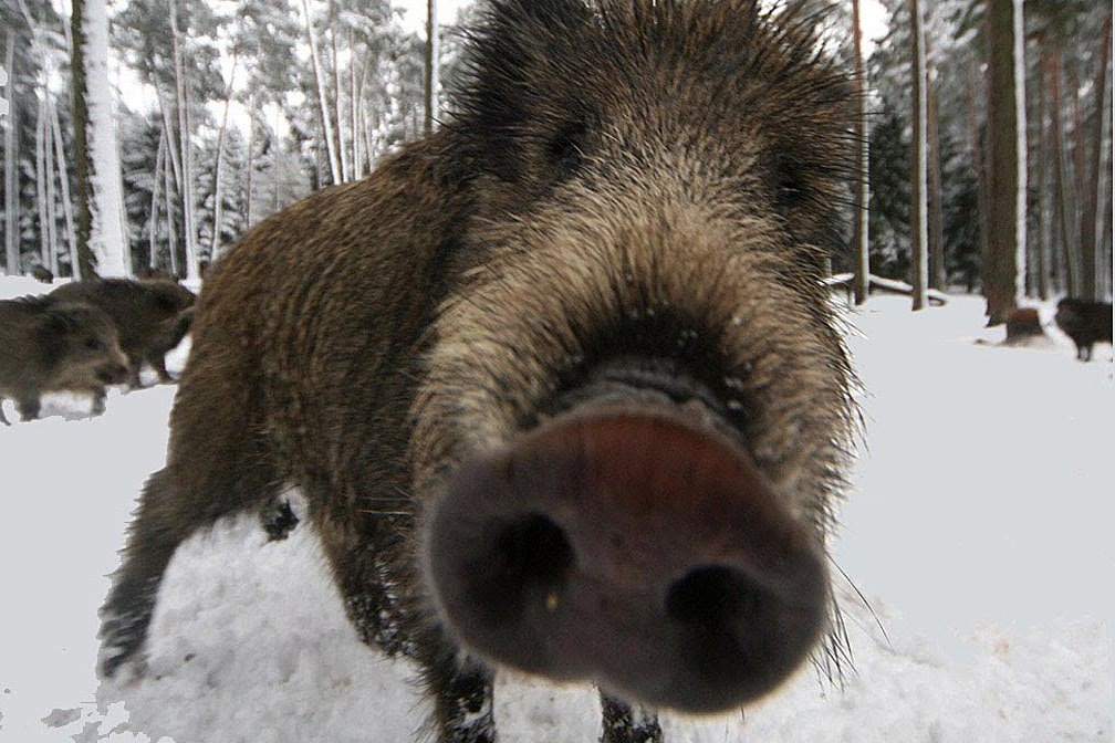 Взято с просторов интернета 