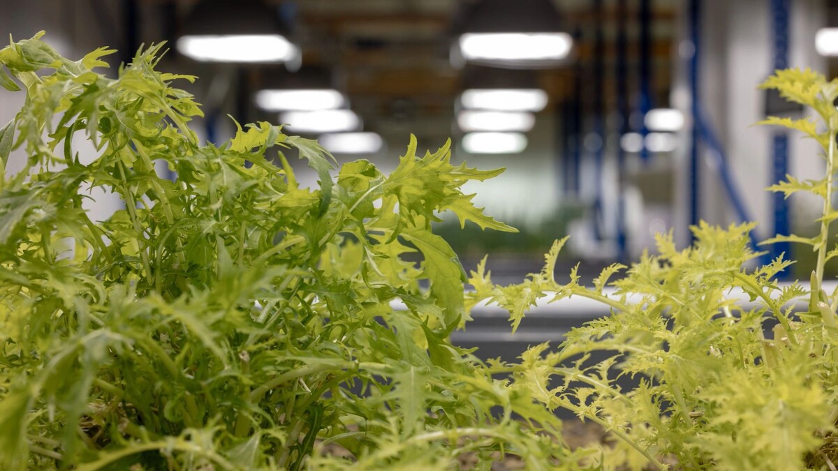    Фото: Сергей Зубков/«Ямал-Медиа»