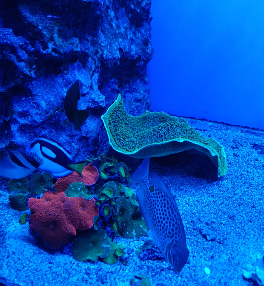 Из личного архива 