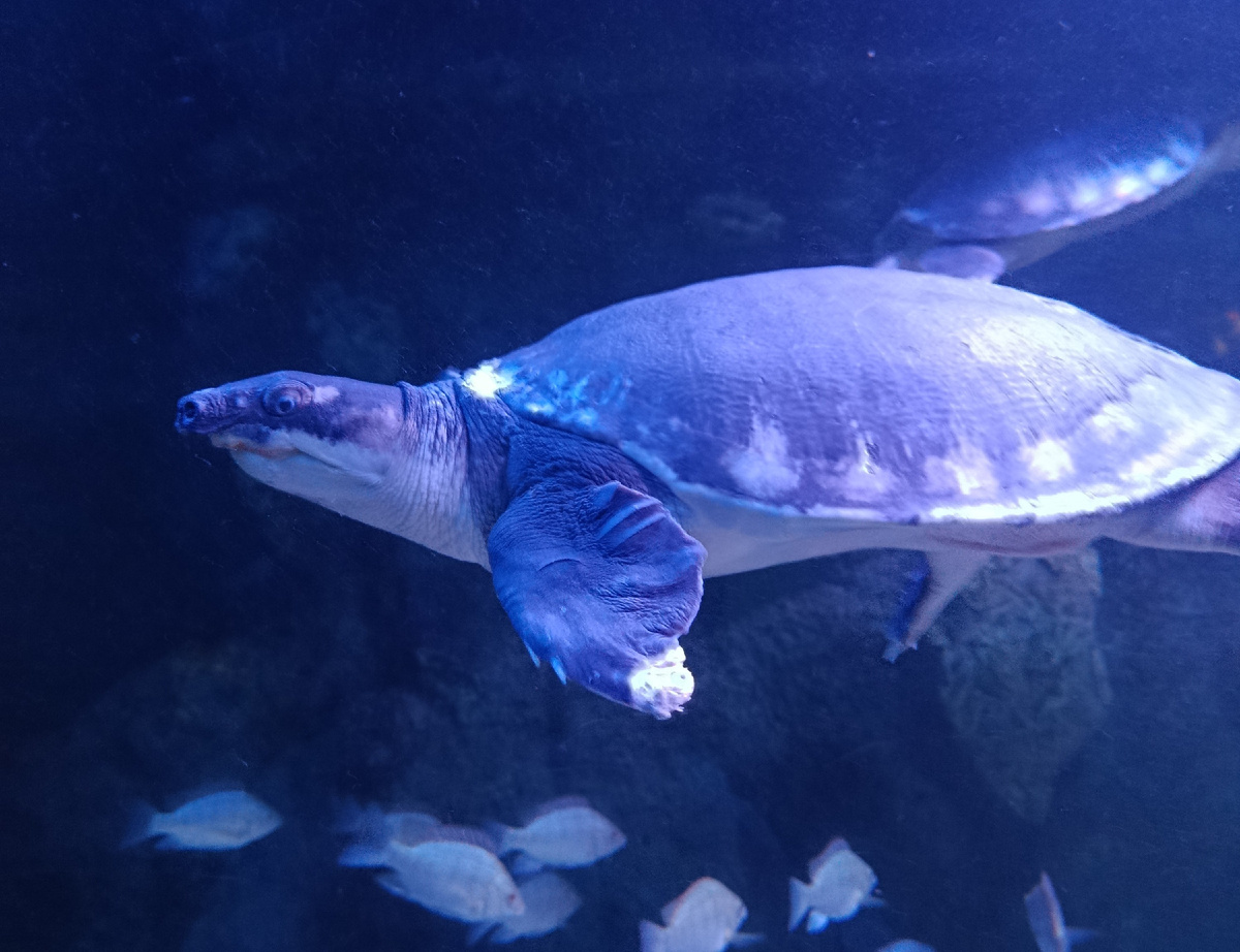 Из личного архива 