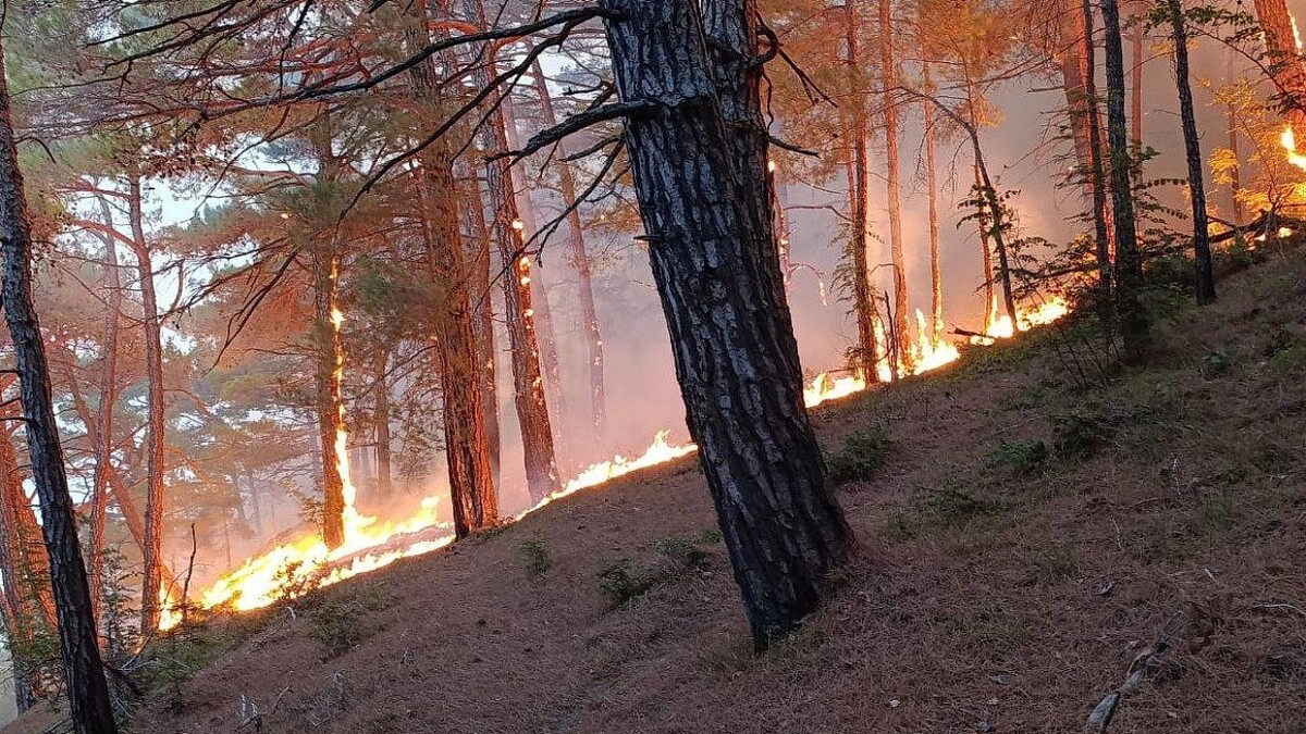    Фото: оперативный штаб Краснодарского края