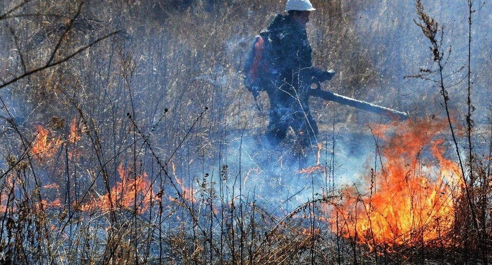 Источник https://avatars.dzeninfra.ru/get-zen_doc/271828/pub_68b004b199a5df6445d684d8_68b004b4ae1fe46cbf2365e4/scale_1200