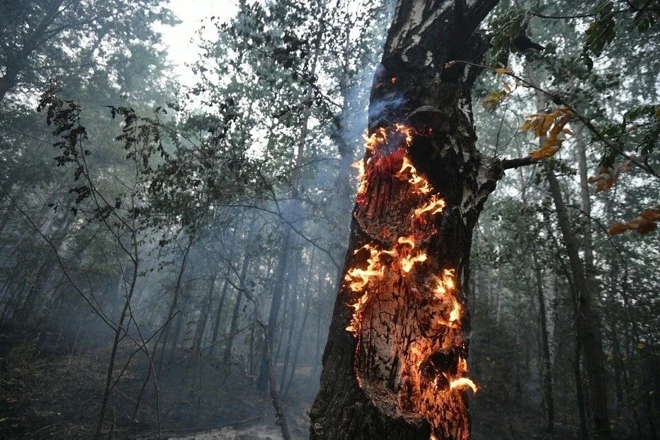 Источник https://s15.stc.yc.kpcdn.net/share/i/12/14707500/wr-960.webp