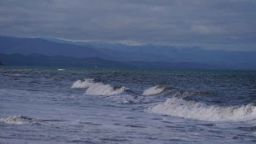    Фото: ИЗВЕСТИЯ/Павел Бедняков