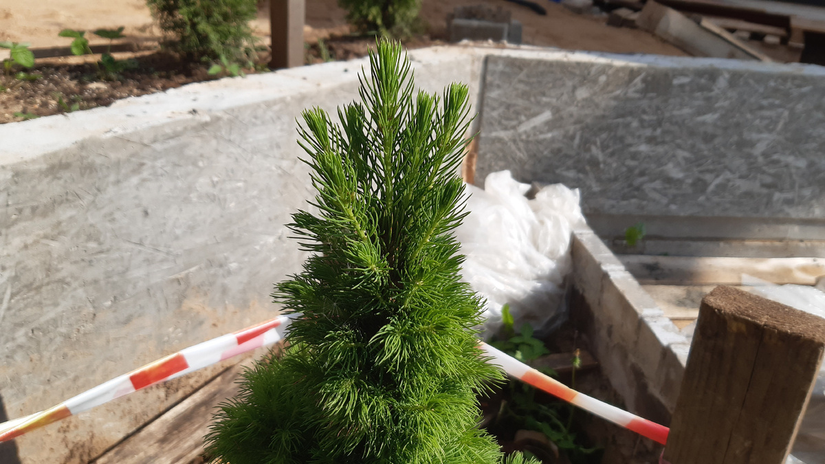 конец мая 2025г