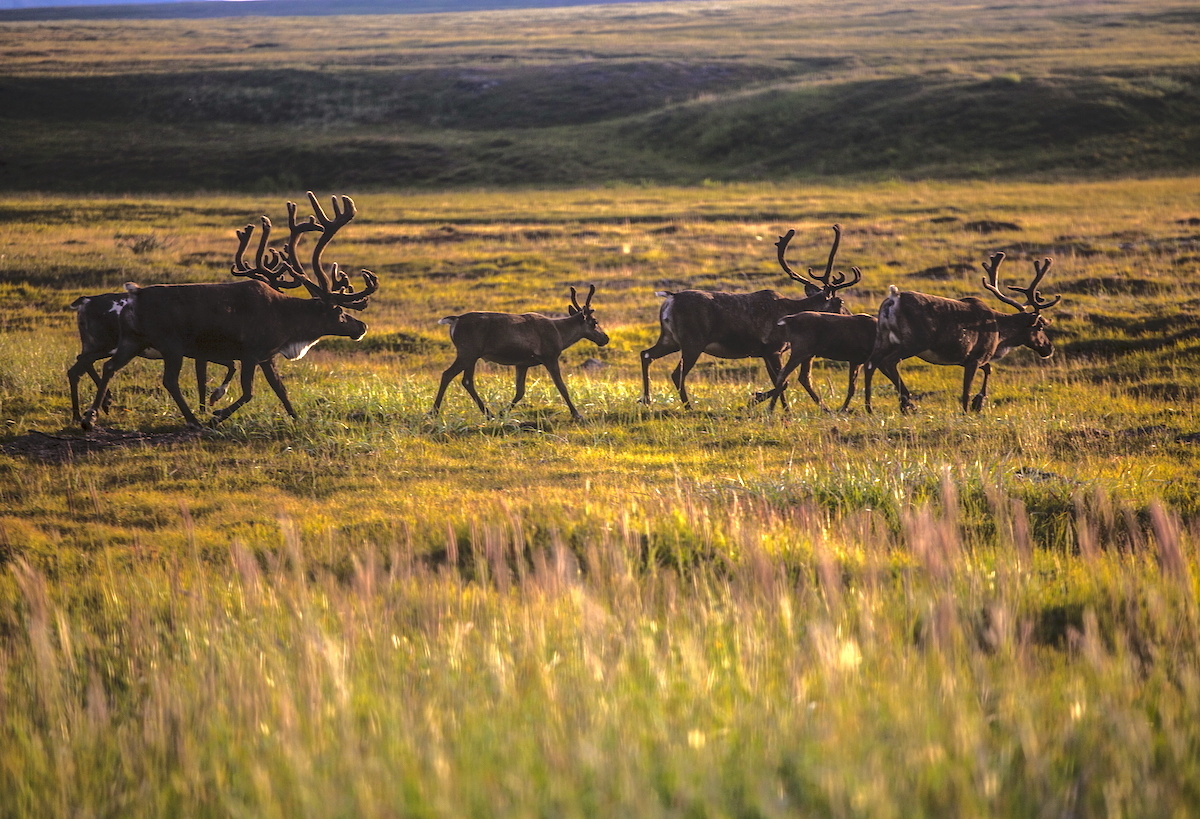 Фото: Александра Кузнецова / GeoPhoto