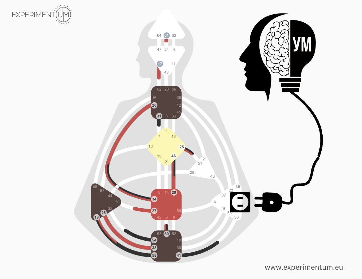Работа ума в Дизайне Человека