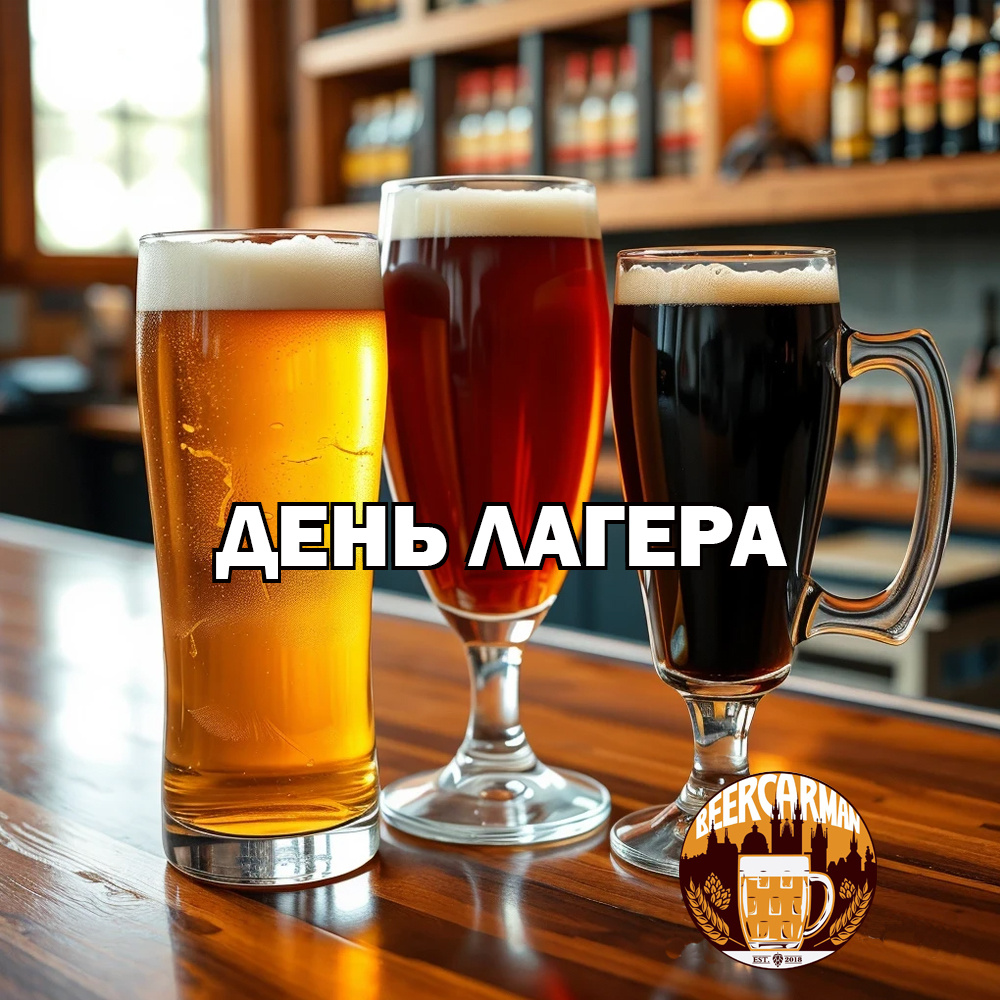 День лагера