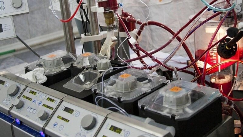      Фото: минздрав СК