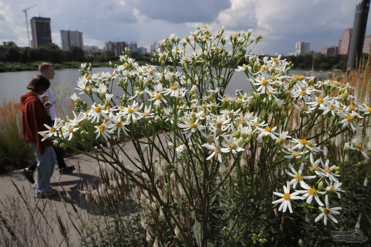    Фото: Анастасия Сибирякова © ИА «Уральский меридиан»