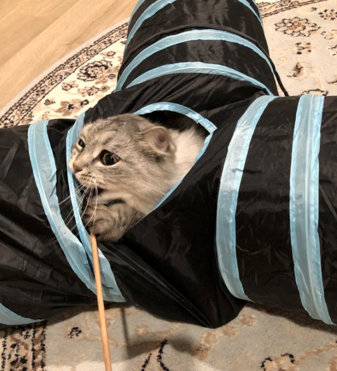 Это ее суть, бесовщина во всем
