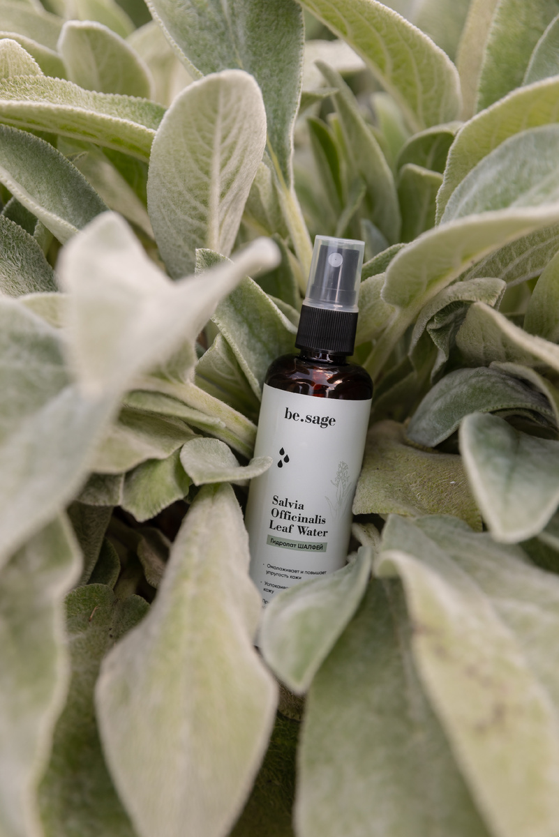 На фото: гидролат Зеленый чай be.sage