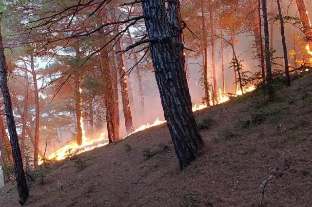    Из-за пожара в Геленджике 23 туриста доставят на катере в безопасное место