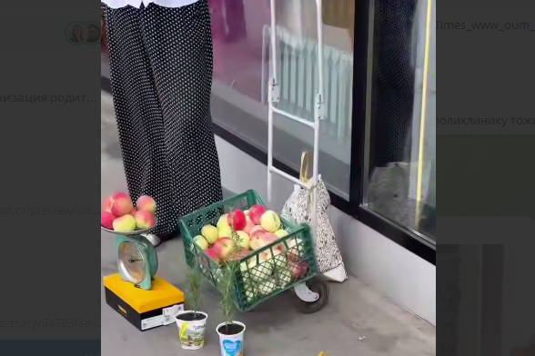 фото: скриншот тг "ЛюбаЕСТ