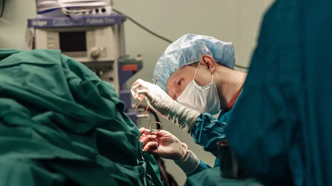    Фото: Niyaz Galiev/Business Online/Globallookpress