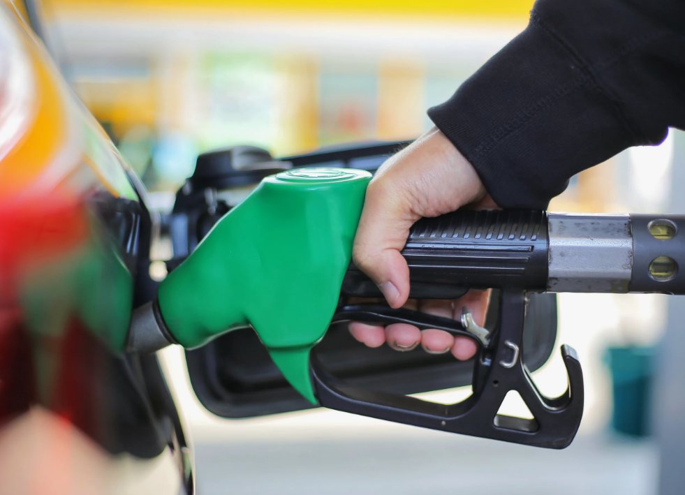 фото из "Яндекс картинки"