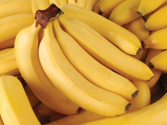    Фото: depositphotos/MSeN