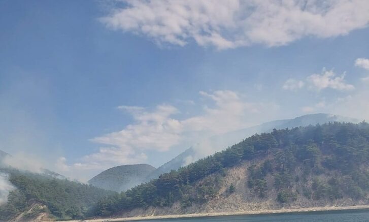    возгорание в лесу под Геленджиком / t.me/krd_klpc